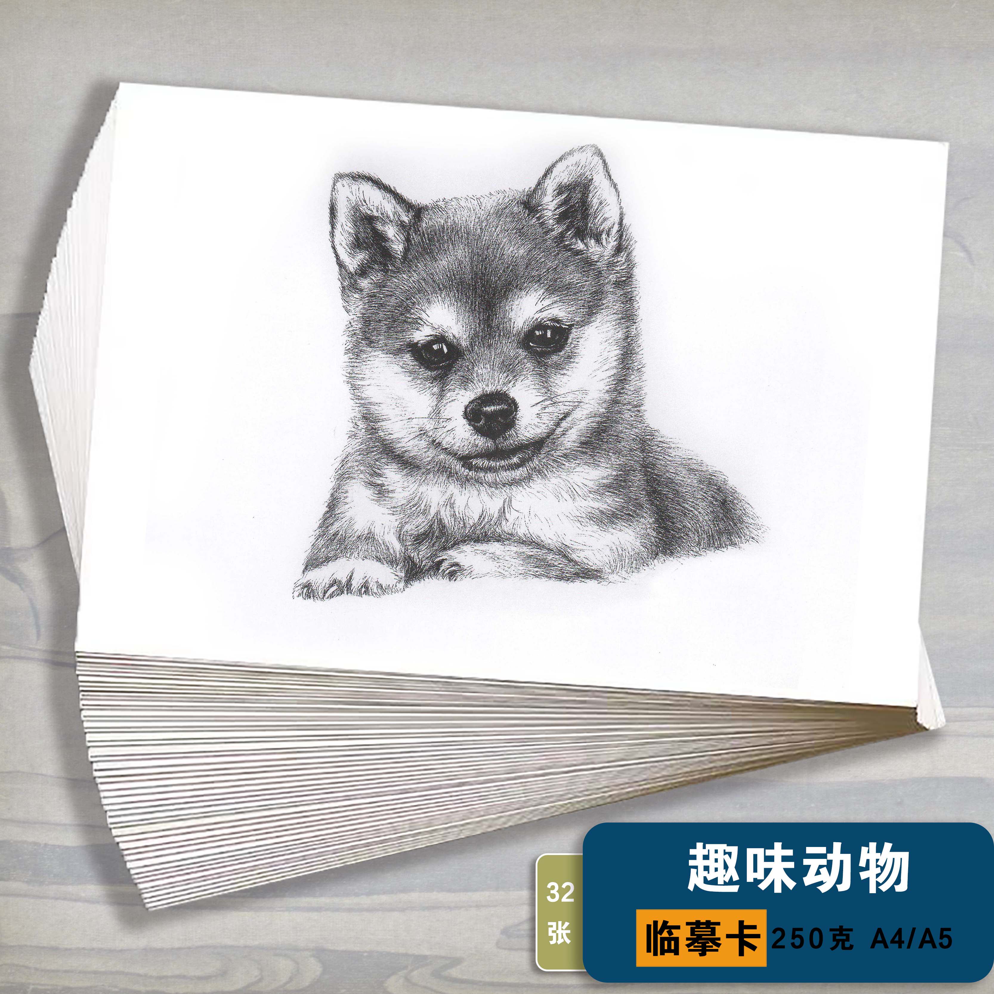 少儿趣味素描创意临摹卡片铅笔绘画单体美术生画画范本99张高清