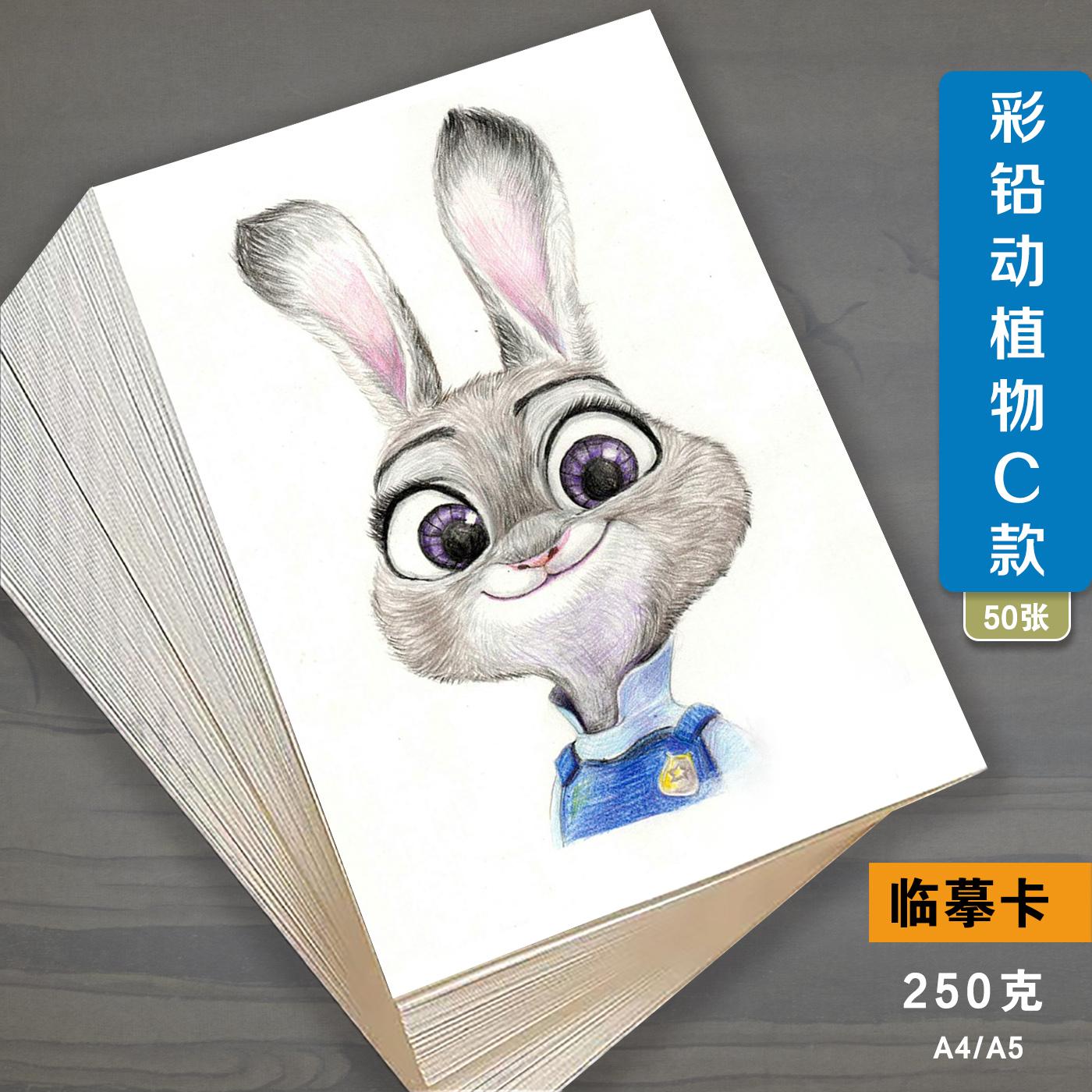 彩鉛素描臨摹卡基礎入門美術繪畫