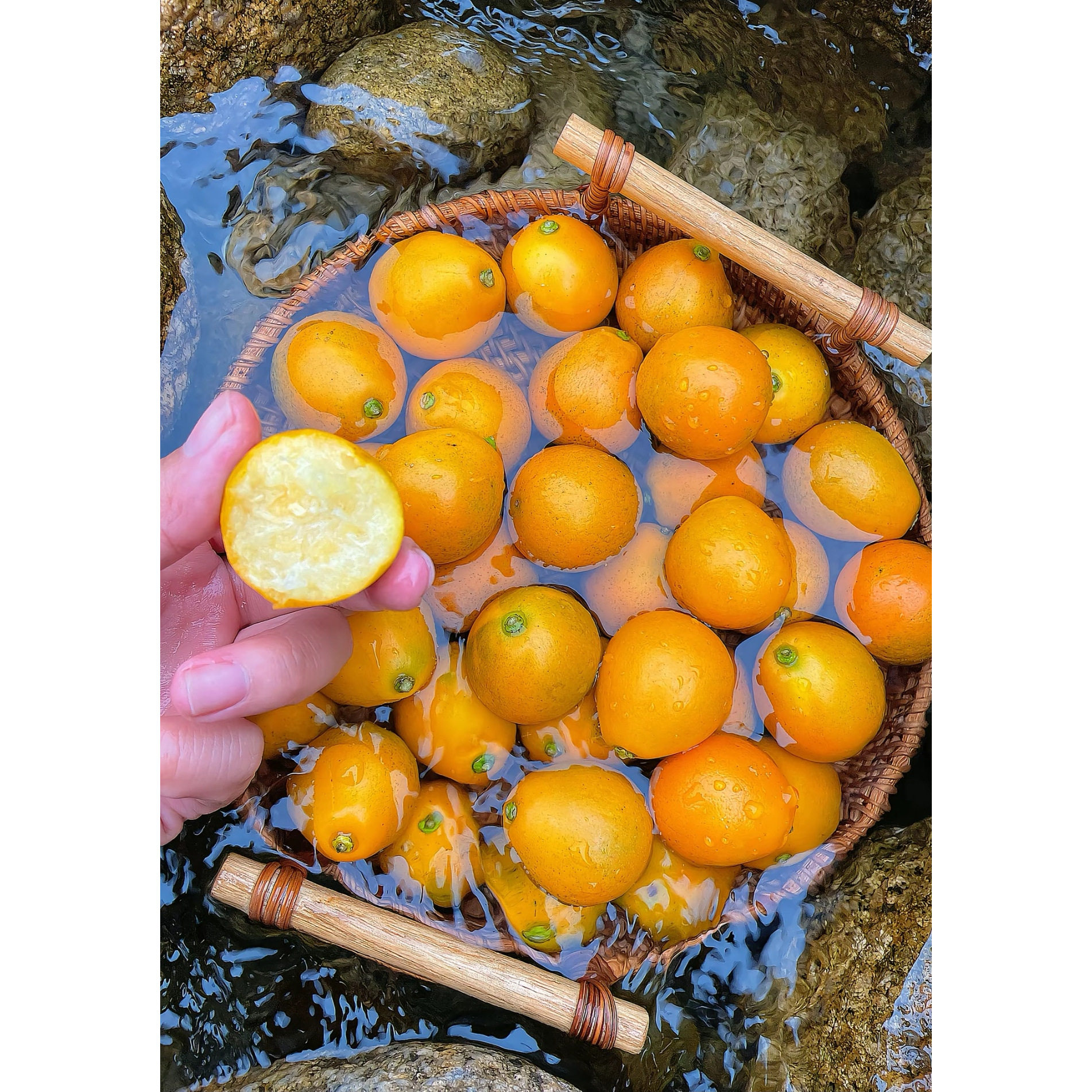 广西融安金桔正宗脆蜜金柑水果脆蜜金桔第三代大金桔果王礼盒装,水产肉类/新鲜蔬果/熟食,桔子,淘宝优惠券,粉丝福利购,淘宝优惠卷