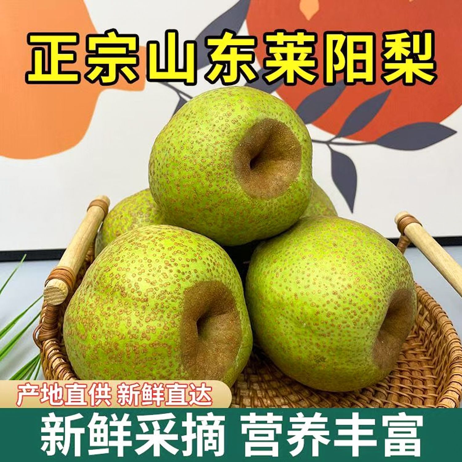 2024山东莱阳梨脆甜多汁