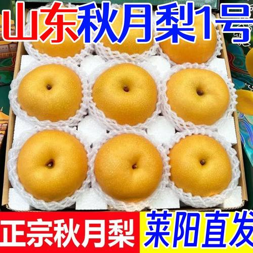 山东莱阳秋月梨新鲜整箱冰糖梨子莱阳梨水果礼盒孕妇水果绿色包邮