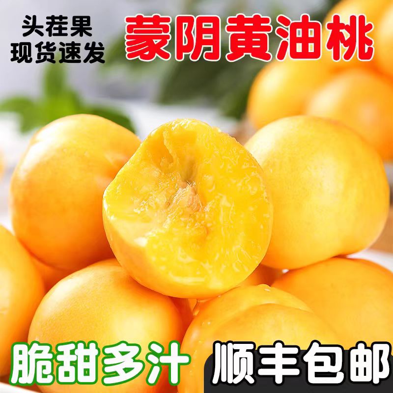 新鲜黄桃黄金油桃山东蒙阴现摘桃子蟠桃新鲜水果蜜桃孕妇绿色整箱