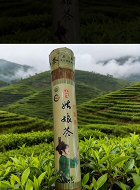 2026年云南文山广南壮乡底圩竹筒茶姑娘茶高品质普洱生茶批发包邮