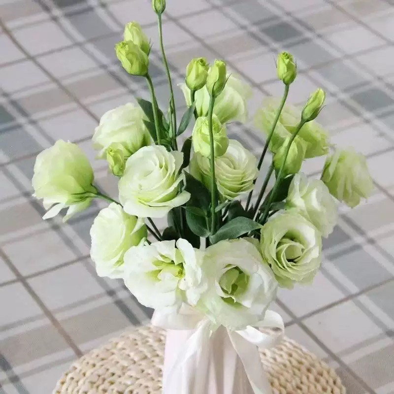 稀有色洋桔梗鲜花新鲜混搭室内水R培家用花插花办公