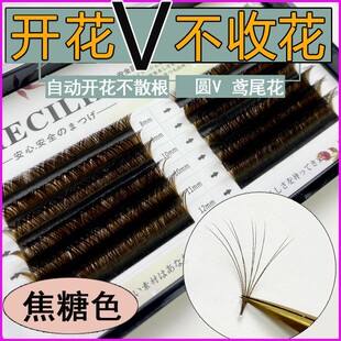 焦糖色双变花0.05圆毛V型VV开花嫁接假睫毛双笙柔软超水貂鸢尾花