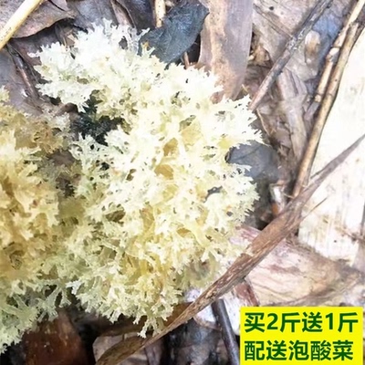 小林淘品竹花买2斤送1斤