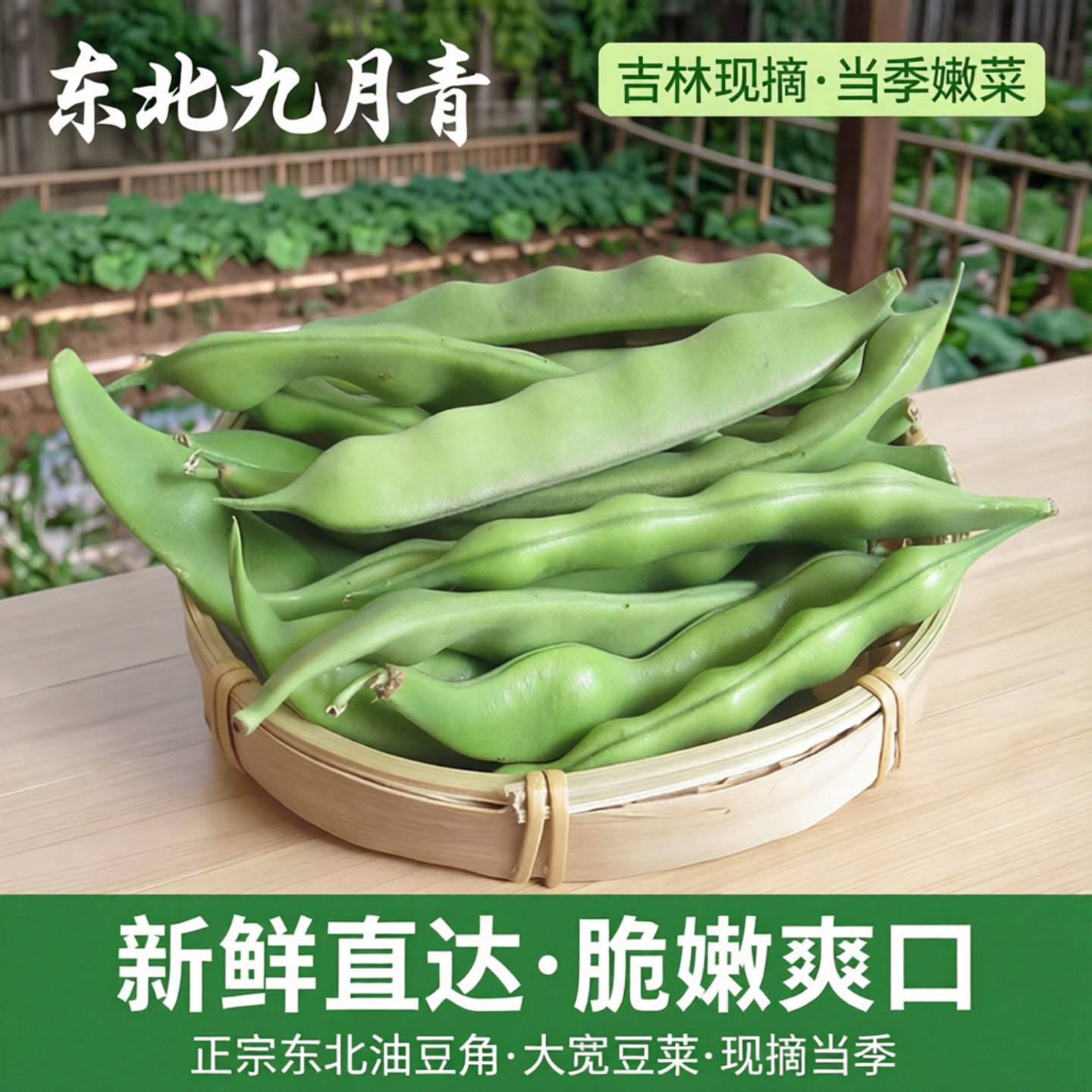 正宗东北油豆角九月青吉林省大宽油豆角现摘新鲜当季嫩蔬菜小油豆