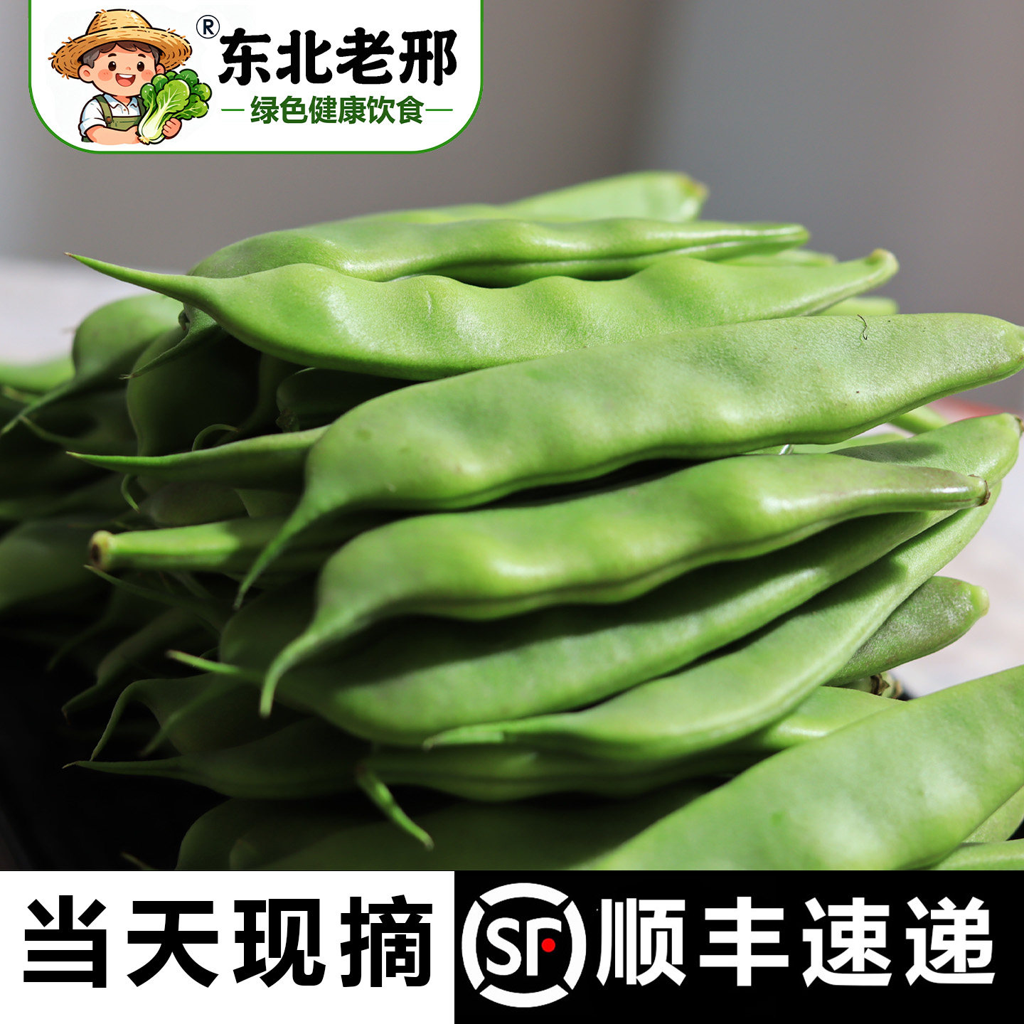 【顺丰包邮】现摘无筋大宽油豆角图片