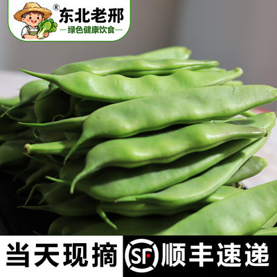 【顺丰包邮】现摘无筋大宽油豆角