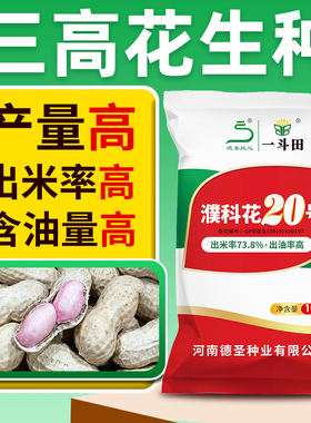 优质带壳花生种子濮科花20号出米率高含油量高皮薄籽大抗叶斑病
