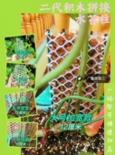 包邮 二代拼接加宽水苔柱手作植物攀爬墙花架棕棒保湿 龟背竹绿萝