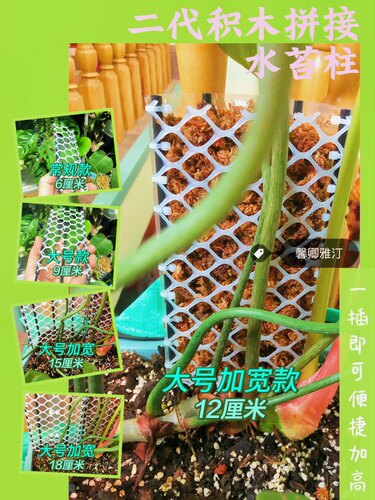 保湿二代水苔柱攀爬透明半包加宽