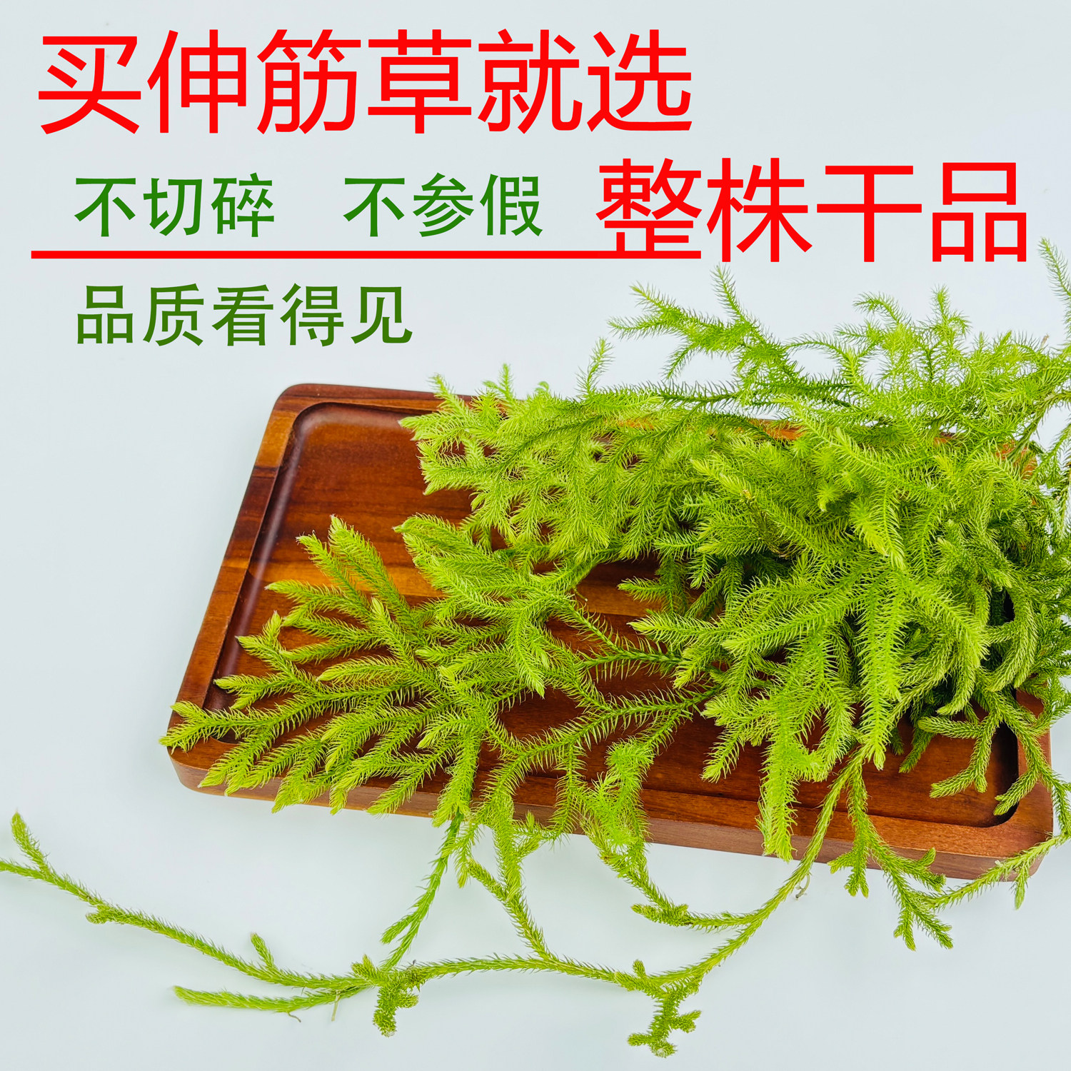 贵州正宗野生伸筋草中药材干货无硫 舒筋草500g包邮 金毛狮子草