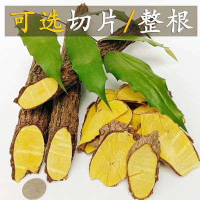 正宗野生十大功劳木中药材无硫整根发货土黄莲刺黄连刺黄苓土黄柏