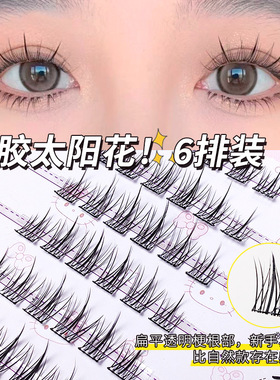 太阳花免胶无梗单眼皮假睫毛
