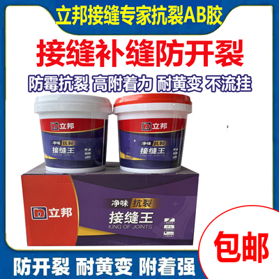 立邦接缝专家双组份接缝王防开裂