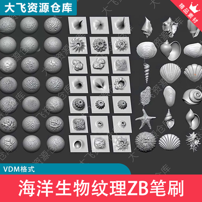 ZBrush海洋生物纹理珊瑚贝壳藤壶海星海螺雕刻ZB笔刷VDM格式