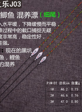 纳米长尾竞技黑坑接口鲤鱼浮漂