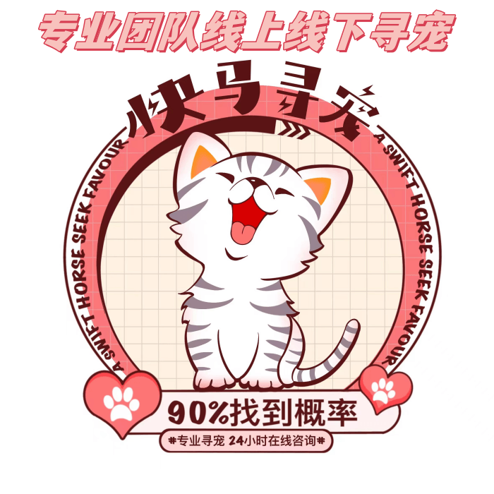 成都找猫寻猫团队支持找到付费专业寻宠团队