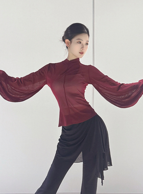 古典舞灯笼袖上衣2026新款舞蹈服身韵练功服春节演出服中国舞网纱