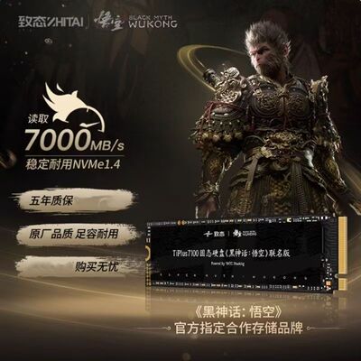 致态致钛存储TIPLUS7100 Ti600 2TB 1TBSSD固态硬盘M.2电脑黑神话