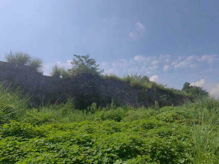 3月18日铜仁工业用地及地上附着物网络拍卖公告