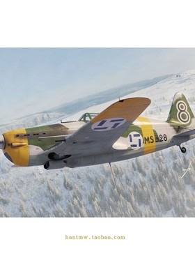DW48057 法国莫兰-索尔尼耶 M.S.406战斗机1/48塑料拼装飞机模型