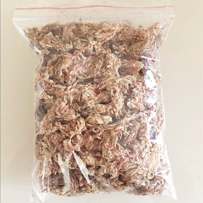 食虫草智利进口浓缩营养液专用土