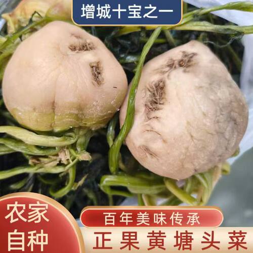 正宗增城正果黄塘头菜自晒香脆