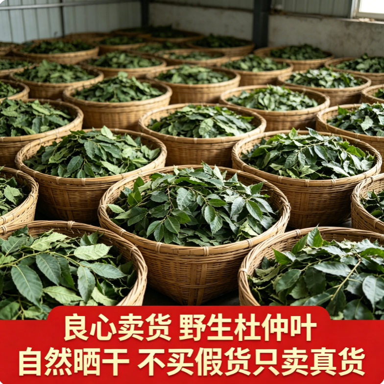 绵阳杜仲叶00g野生新货杜仲叶茶无硫 正品杜仲新树叶 杜仲叶 晒干