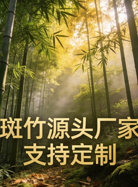 天然斑竹水竹装饰摆件客厅