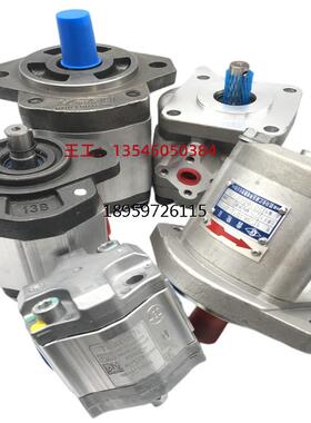 SALAMI齿泵E6D-52 152.P 3P 17S-G0B0萨拉米轮2P1RS2.PE 5EEPE2.6