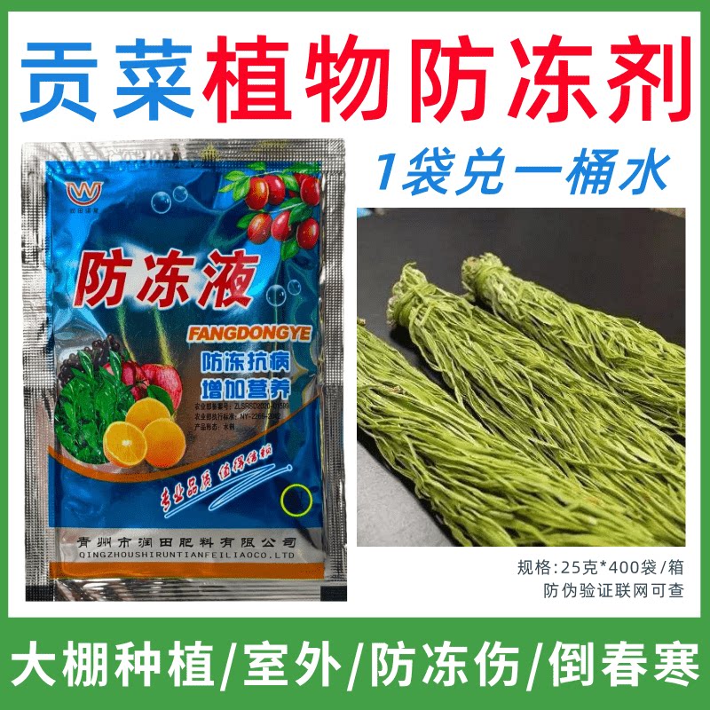 贡菜专用防冻剂植物防冻液防冻抗寒增产叶面肥蔬菜果树预防倒春寒