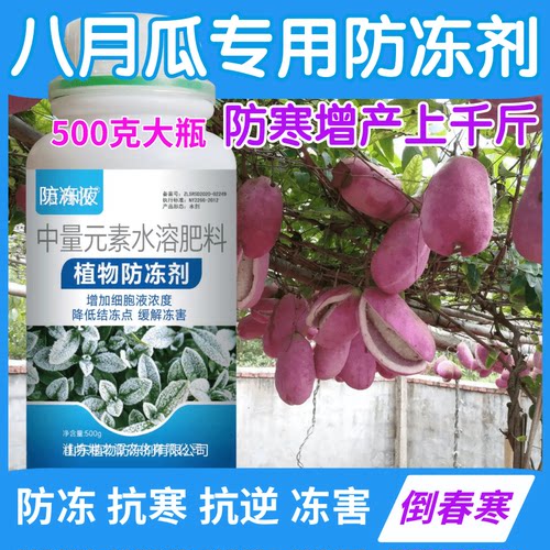 八月瓜防冻剂防寒抗冻抗寒缓解冻害果树蔬菜叶面肥植物防冻营养液