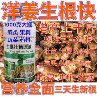 洋姜强力生根剂果树移栽扦插生根粉增产营养液蔬菜药材强力生根肥