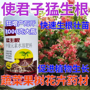 使君子猛生根生根壮苗剂果树蔬菜叶面肥狂生根生根液水溶肥生根粉