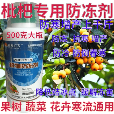 枇杷防冻剂防寒抗冻抗寒缓解冻害果树蔬菜药材增产植物防冻营养液