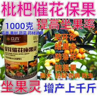 枇杷保花保果药催花授粉坐果灵果树防落素瓜果蔬菜增产专用叶面肥