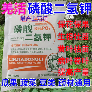羌活专用磷酸二氢钾叶面肥催花保果药蔬菜果树花卉通用生根壮苗剂