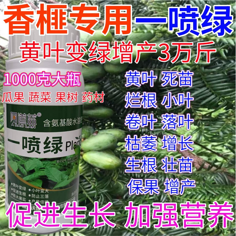 香榧一喷绿叶面肥黄叶变绿水溶肥果树蔬菜药材提苗素营养液叶绿素