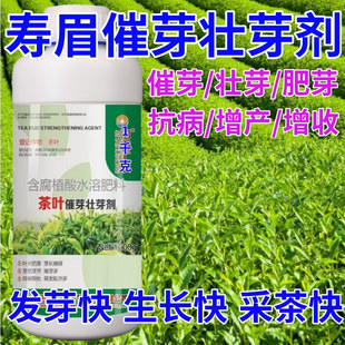 寿眉茶叶面肥茶叶催芽剂催芽长嫩绿抗寒抗冻催芽素生长素叶面肥料