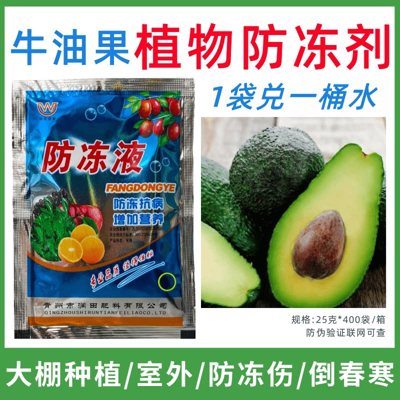 牛油果专用防冻剂植物防冻剂防冻害增产叶面肥蔬菜果树预防倒春寒