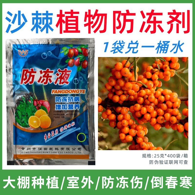 沙棘专用防冻剂植物防冻剂防冻抗寒增产叶面肥蔬菜果树预防倒春寒