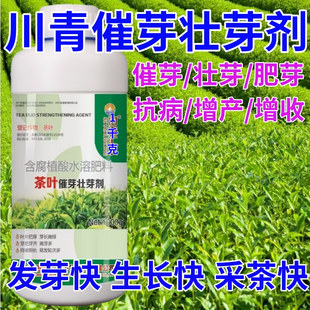 川青茶叶面肥茶叶催芽剂催芽长嫩绿抗寒抗冻催芽素生长素叶面肥料