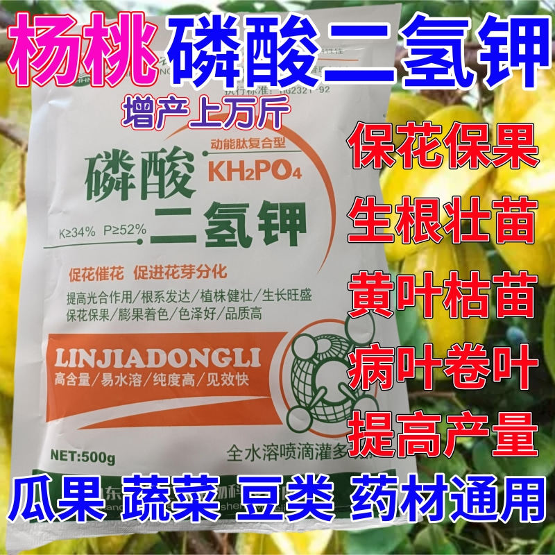 杨桃专用磷酸二氢钾叶面肥催花保果药蔬菜果树花卉通用生根壮苗剂图片