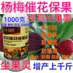 杨梅保花保果药催花授粉坐果灵果树防落素瓜果蔬菜增产专用叶面肥