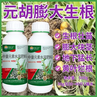元胡膨根壮茎灌根肥营养肥根茎粗壮生根壮苗中药材根茎块茎膨大素