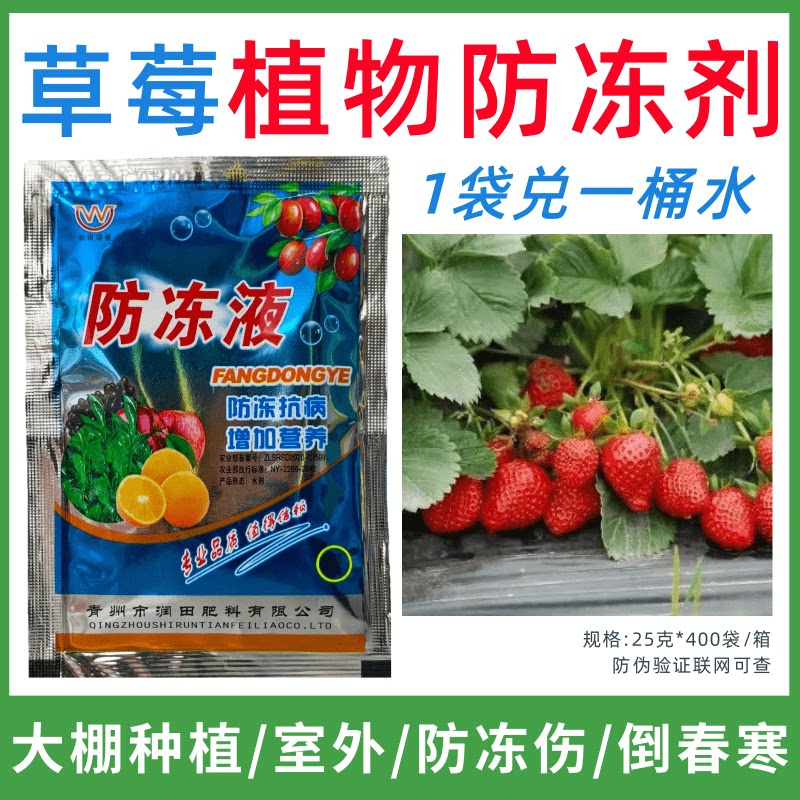 草莓专用防冻剂植物防冻液防冻抗寒增产叶面肥蔬菜果树预防倒春寒