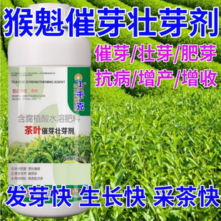 猴魁茶叶面肥茶叶催芽剂催芽长嫩绿抗寒抗冻催芽素生长素叶面肥料