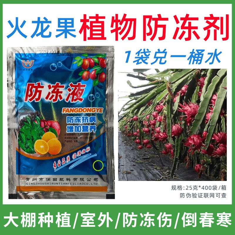 火龙果专用防冻剂植物防冻剂防冻害增产叶面肥蔬菜果树预防倒春寒
